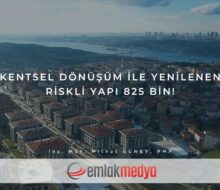 Kentsel Dönüşüm ile yenilenen Riskli Yapı 825 bin!